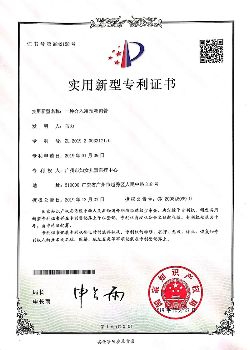 马力（一种介入用预弯鞘管）.jpg