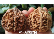 涞水麻核桃（文玩核桃）-官帽