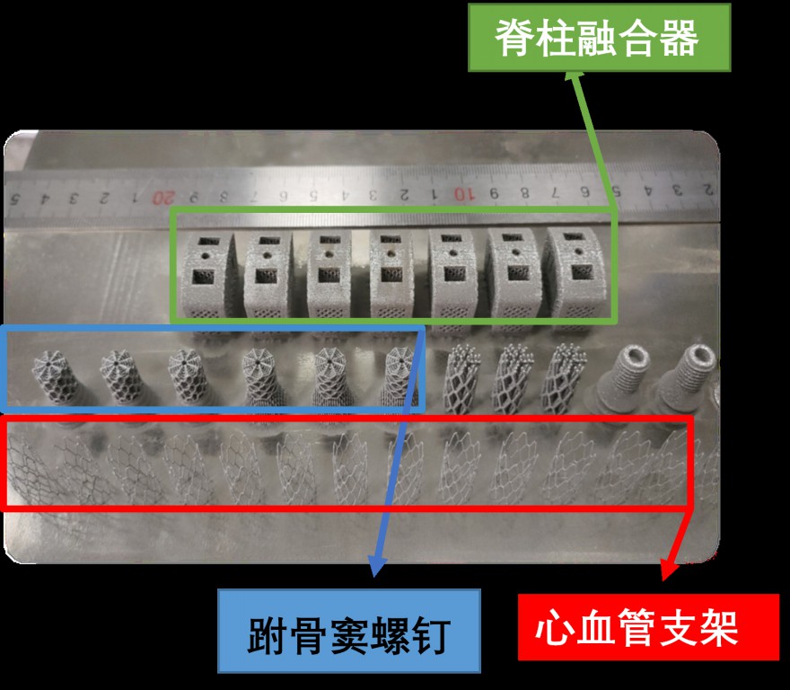 7.多种医用植入件打印件~1.jpg